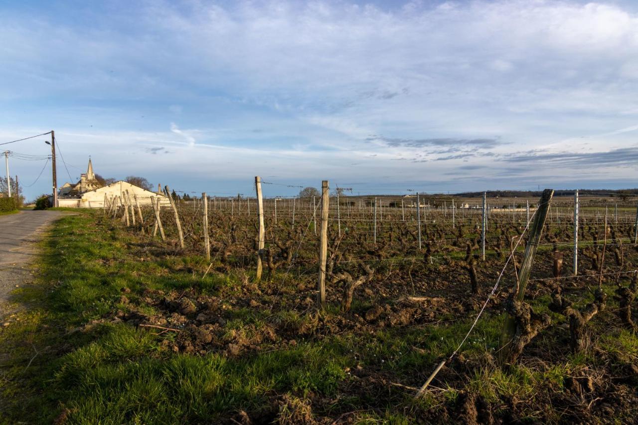Maison Chaleureuse-Grand Jardin-Proche Saumur Parnay Esterno foto